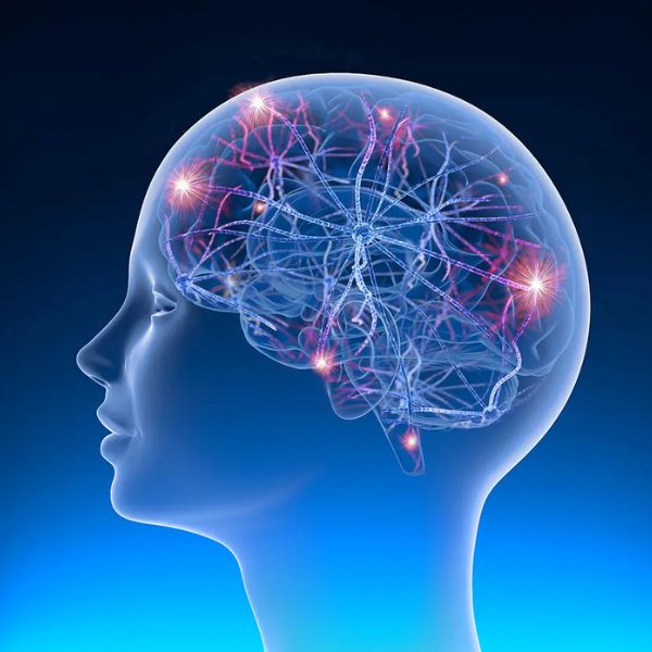 Epilepsy