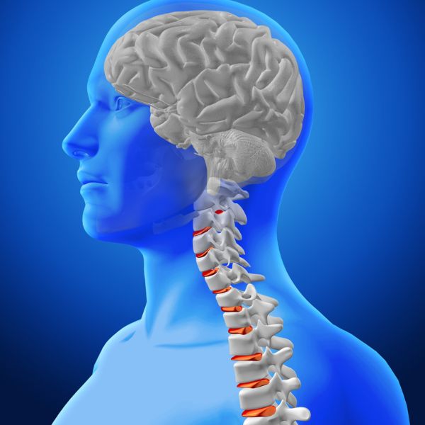 Spine & Brain Surgery
